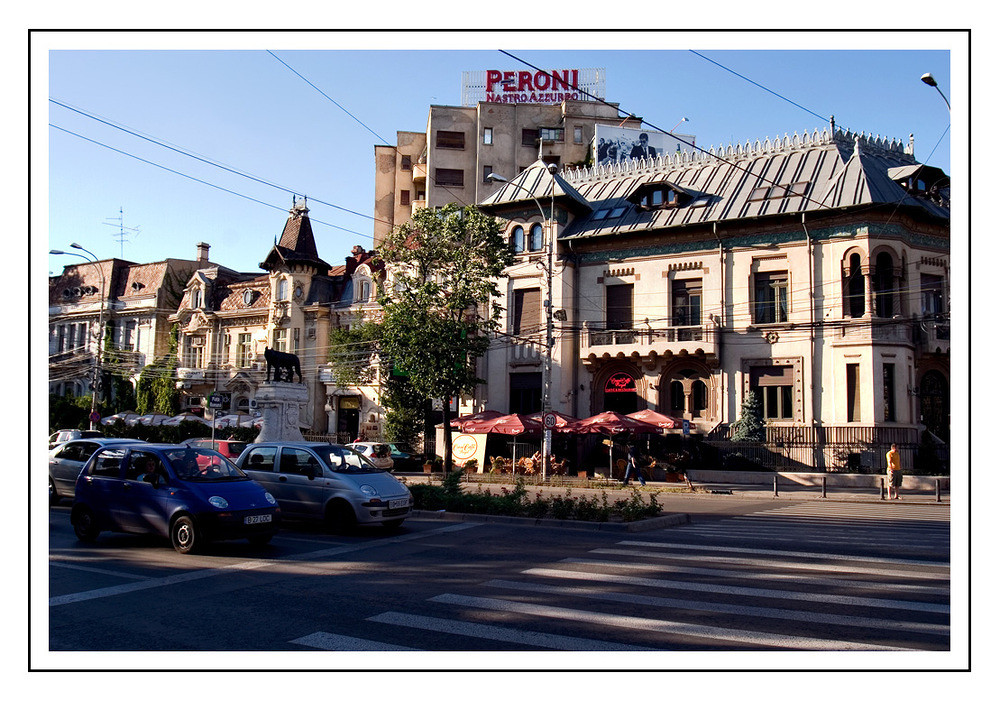 crw_8189.jpg