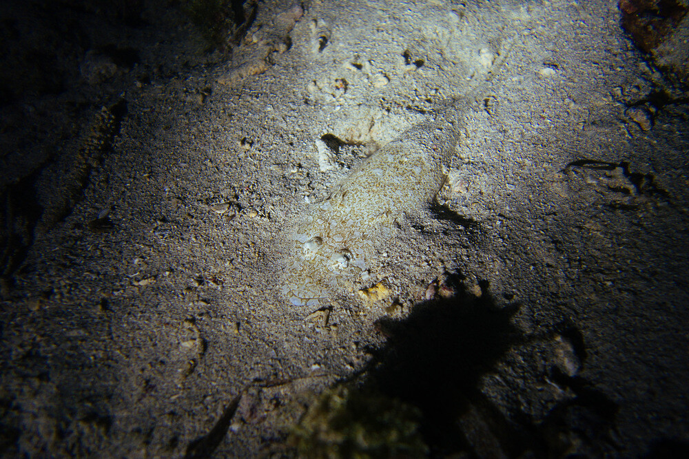 0120-1243-DSC01320
