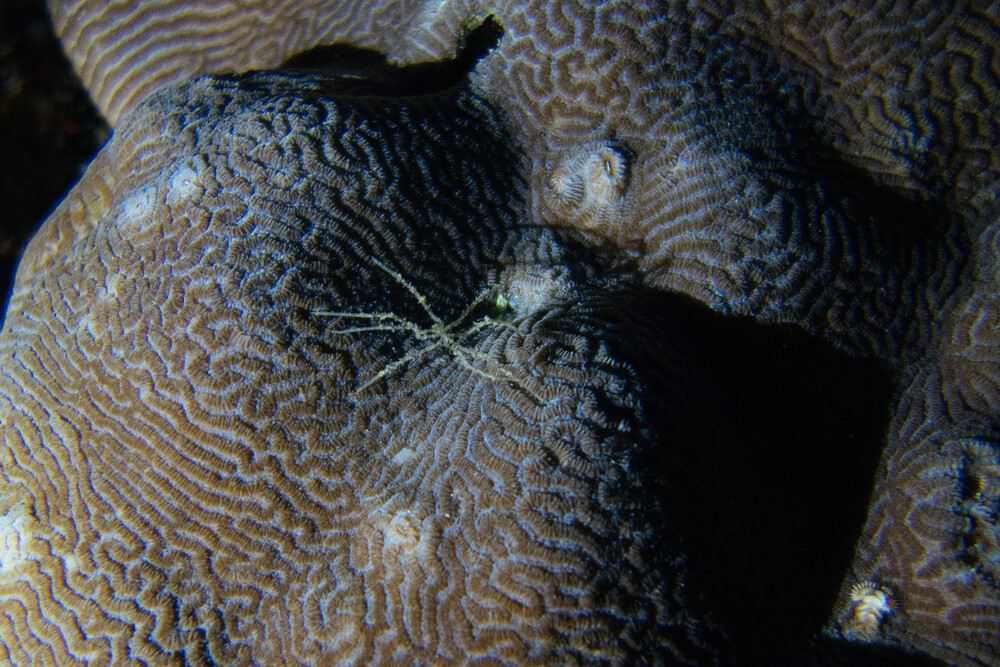 0121-1208-DSC01481
