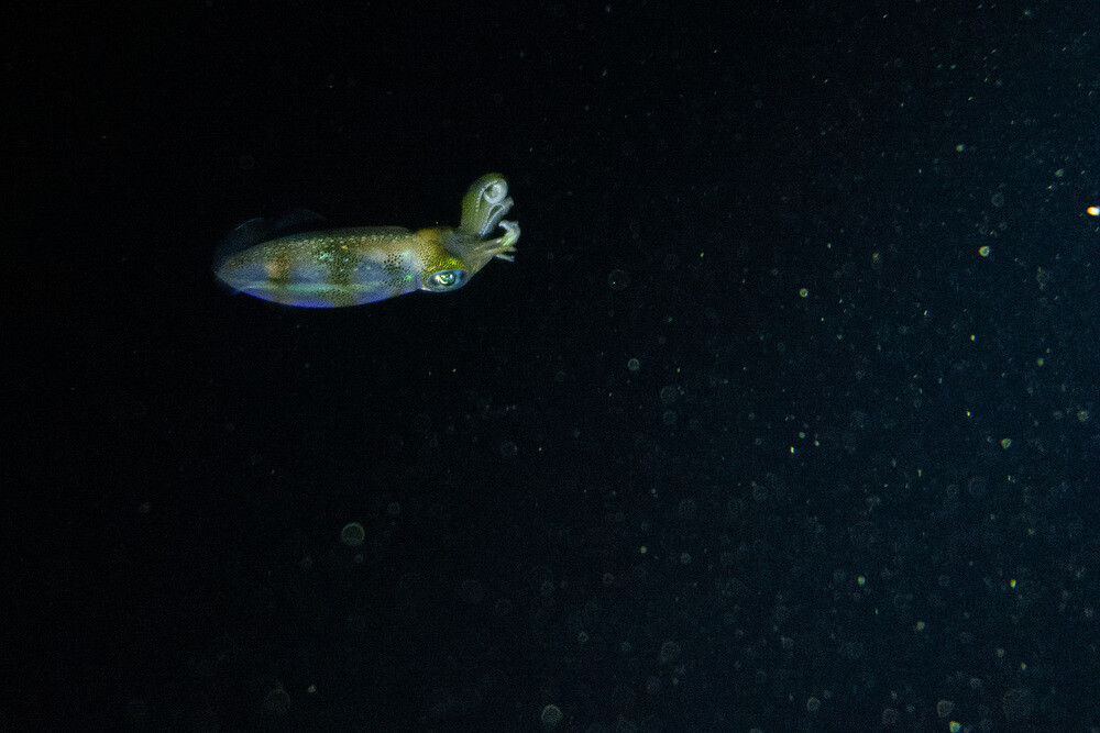 0121-1248-DSC01518