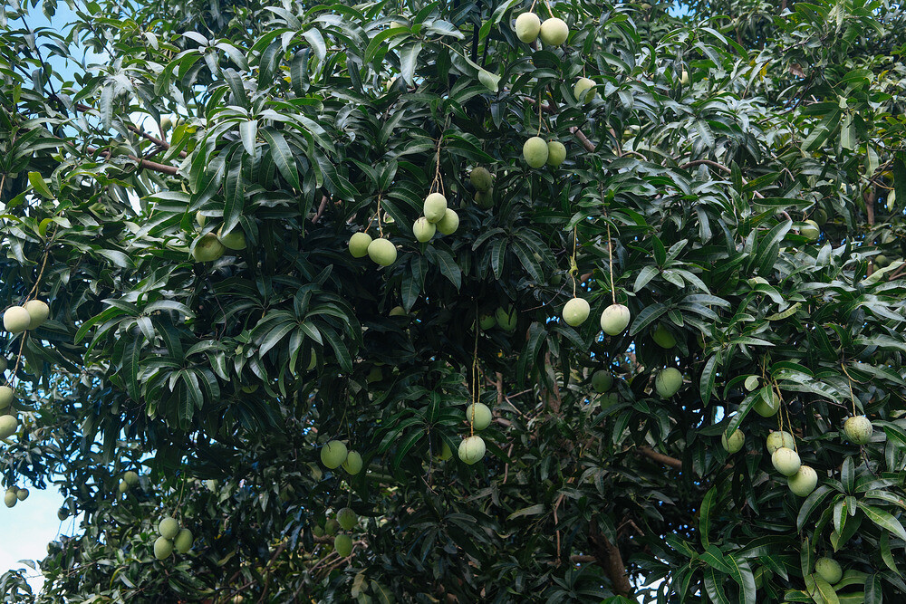 0124-1434-DSCF1321