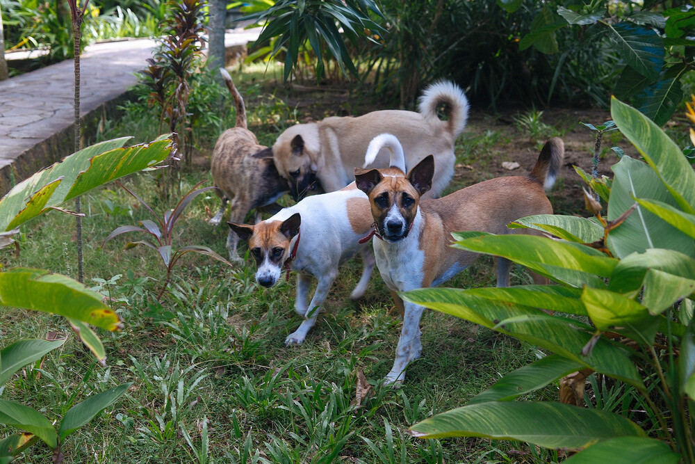 0124-1448-DSCF1336