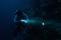 Bunaken