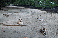 0117-1016-DSCF1214
