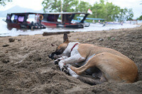 0118-1729-DSCF1247