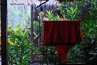 0119-1531-DSCF1262