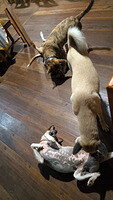 0122-2301-IMG 20250122 230118