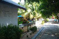 0124-1350-DSCF1276