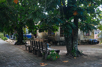 0124-1432-DSCF1315