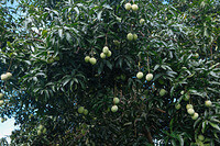 0124-1434-DSCF1321