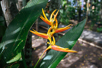 0124-1444-DSCF1327