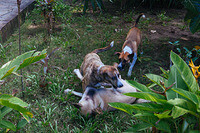 0124-1447-DSCF1329