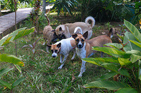 0124-1448-DSCF1336