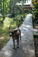 0124-1506-DSCF1338