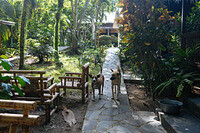 0124-1507-DSCF1341