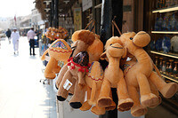 0115-1129-DSCF1029