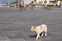0115-1213-DSCF1042