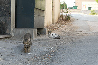 0115-1315-DSCF1067