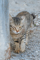 0115-1315-DSCF1069