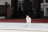 0115-1336-DSCF1084