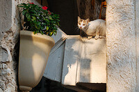 0115-1426-DSCF1101