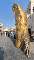 0115-1448-IMG 20250115 144854