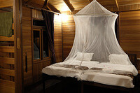 0124-1818-DSCF1413
