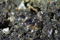 0125-1253-DSC02177