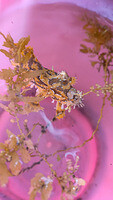 0125-1312-IMG 20250125 131217