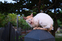 0129-1745-DSCF1941