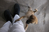 0129-2035-DSCF1955