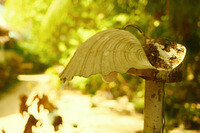 0201-1114-DSCF2024