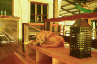 0201-1115-DSCF2025