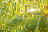 0201-1602-DSCF2054