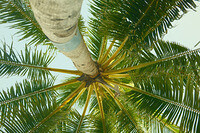 0201-1610-DSCF2071