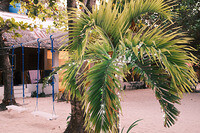 0201-1743-DSCF2102