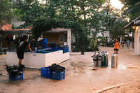 0201-1744-DSCF2104