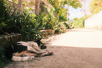 0202-1050-DSCF2117