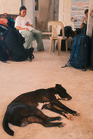 0202-1105-DSCF2127