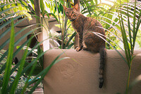 0203-1724-DSCF2224