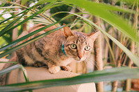 0203-1726-DSCF2232