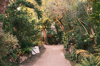 0203-1727-DSCF2233