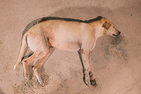 0205-1946-DSCF2267