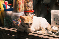 0205-1958-DSCF2276