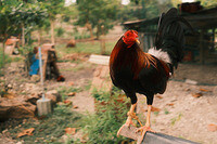 0206-1244-DSCF2291
