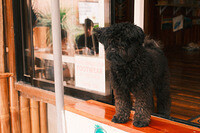 0206-1309-DSCF2294