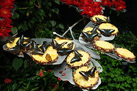 0128-1349-DSCF1549