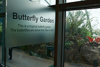 0128-1352-DSCF1580
