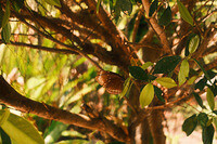 0209-1410-DSCF2379