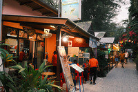 0209-1929-DSCF2417